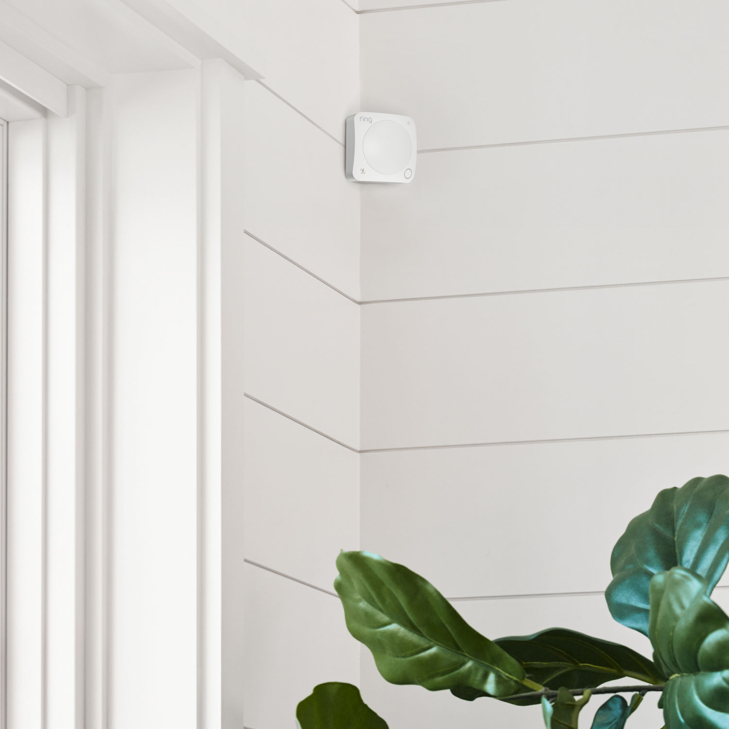 ring_motion_detector_mounted_1500x1500.jpg